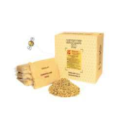 CANDIPOLLINE GOLD 1KG CANDIPOLLINE GOLD 1KG