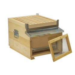 EC PASTORAL DADANT 1/1 BROOD (IT)