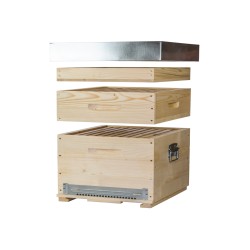 ECO STATIONARY DADANT (IT)