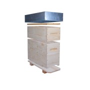 Hive nucleus