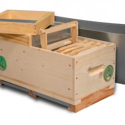 NUC HIVE DIVIDED IN TWO FECUNDATION COMPARTAMENTS NUC HIVE DIVIDED IN TWO FECUNDATION COMPARTAMENTS