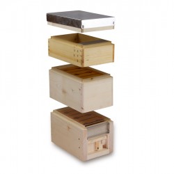 APIDEA FECUNDATION HIVE - IT MODEL APIDEA FECUNDATION HIVE - IT MODEL