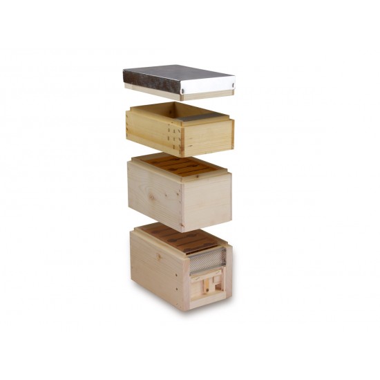 APIDEA FECUNDATION HIVE - IT MODEL