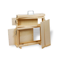 ANRIETTA DI OSSERVAZIONE DA UN FAVO DADANT 1/1 E MELARIO