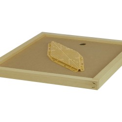 IZGONITOR CU 2 CAI DE TIP MALAGOLA / LASAGNA  IZGONITOR CU 2 CAI DE TIP MALAGOLA / LASAGNA